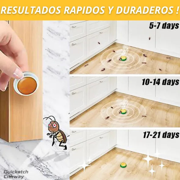 CEBO ELIMINA TODO TIPO DE CUCARACHAS || KILLKACH™