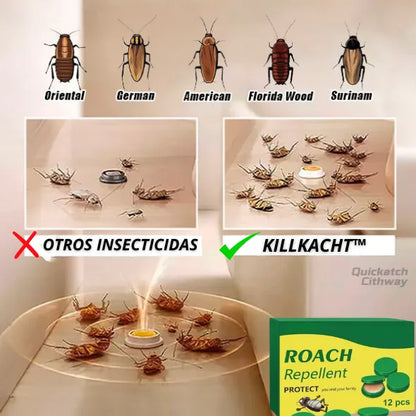 CEBO ELIMINA TODO TIPO DE CUCARACHAS || KILLKACH™