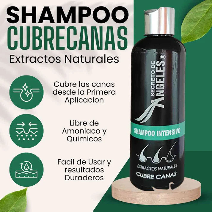 SHAMPOO DE COBERTURA RAPIDA || PROMO 2 X 1