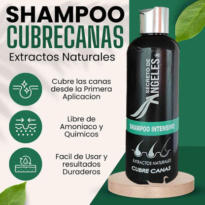 SHAMPOO DE COBERTURA RAPIDA || PROMO 2 X 1